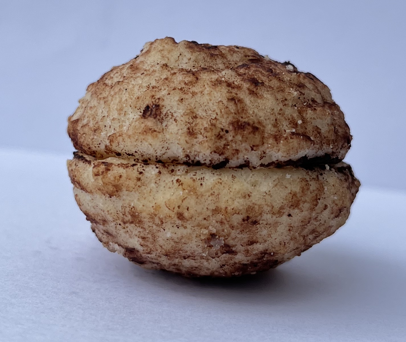Noisette